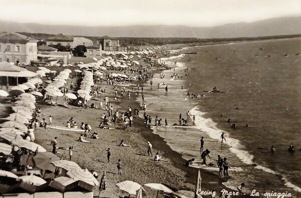 Cartolina - Cecina Mare - La Spiaggia - 1956