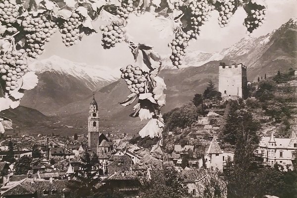 Cartolina - Merano ( Bolzano ) - Panorama - 1960 …