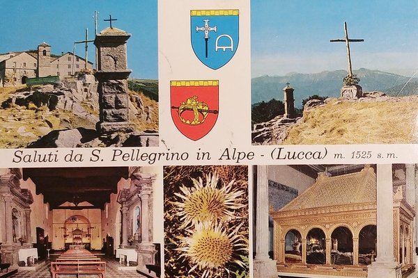 Cartolina - Saluti da S. Pellegrino in Alpe ( Lucca …