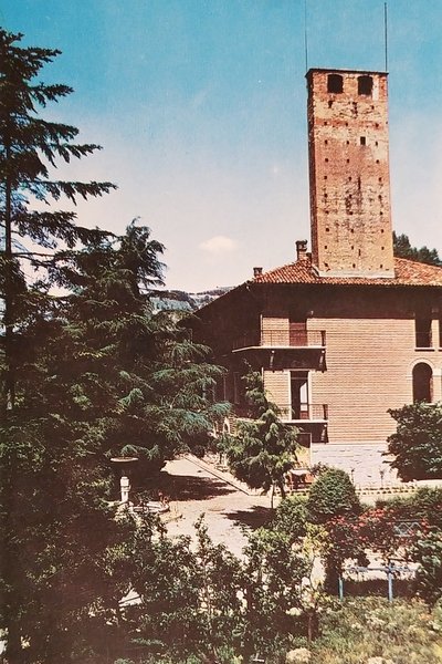 Cartolina - Bistagno - Il Castello - 1971