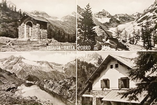 Cartolina - Veduta dalla Porro ( Valmalenco ) - Vedute …