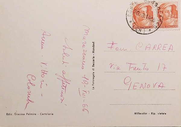 Cartolina - Saluti da Murazzano ( Cuneo ) - Vedute …