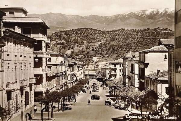 Cartolina - Cosenza - Viale Trieste - 1960 ca.