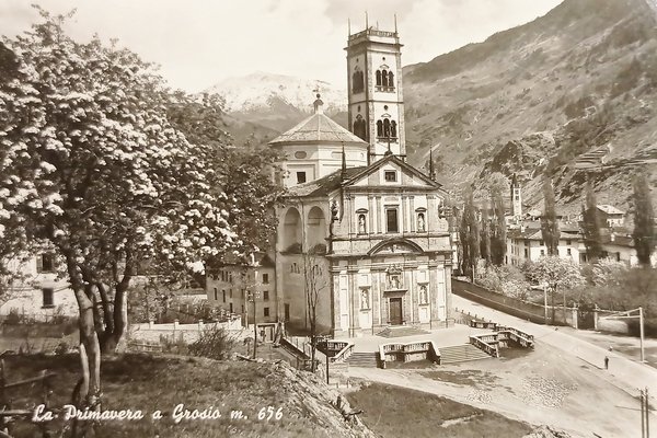 Cartolina - La Primavera a Grosio ( Sondrio ) - …