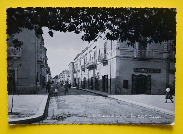 Cartolina San Ferdinando Di Puglia Via XXIV Maggio 1950