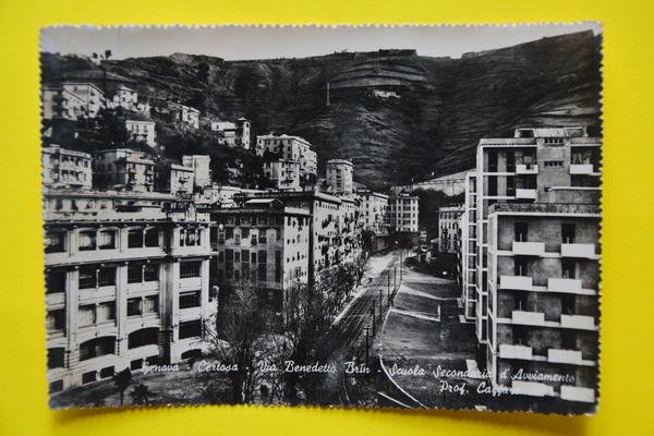Cartolina Genova Certosa Via Benedetto Brin Scuola Secondaria 1959