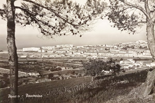 Cartolina - Pesaro - Panorama - 1955