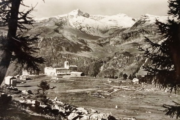 Cartolina - Casa Alpina di Motta - Campodolcino ( Sondrio …
