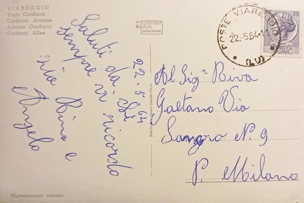 Cartolina - Viareggio - Viale Carducci - 1964