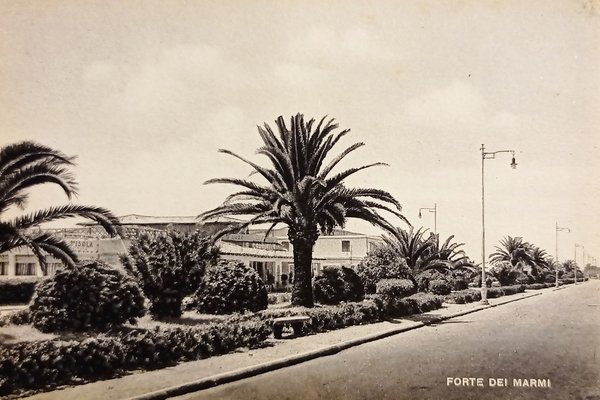 Cartolina - Forte dei Marmi ( Lucca ) - 1950