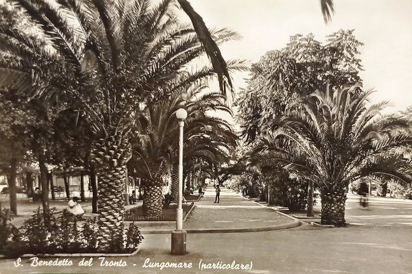 Cartolina - S. Benedetto del Tronto - Lungomare - 1959