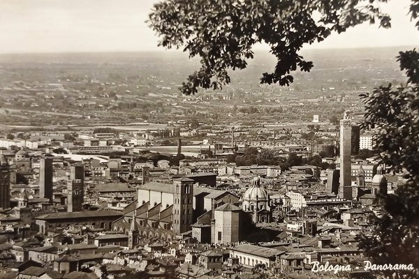 Cartolina - Bologna - Panorama - 1953