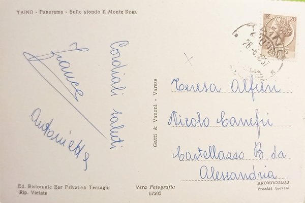Cartolina - Taino - Panorama - Sullo sfondo il Monte …