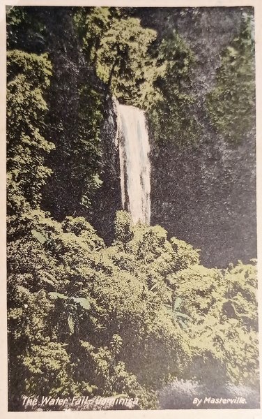 Cartolina - Caraibi - Dominica - The Waterfall - 1910 …