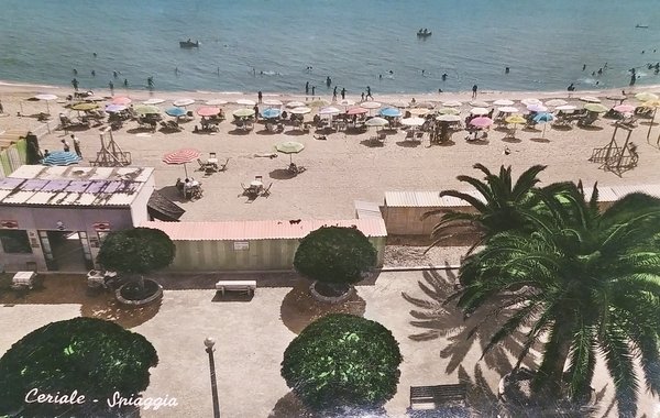 Cartolina - Ceriale ( Savona ) - Spiaggia - 1956