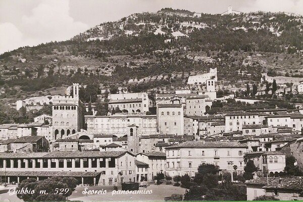 Cartolina - Gubbio - Scorcio Panoramico - 1955 ca.