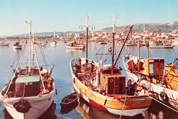 Cartolina - San Benedetto del Tronto - Pescherecci alla fonda …