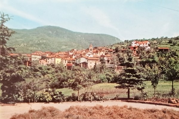 Cartolina - Salogni - Panorama - 1968