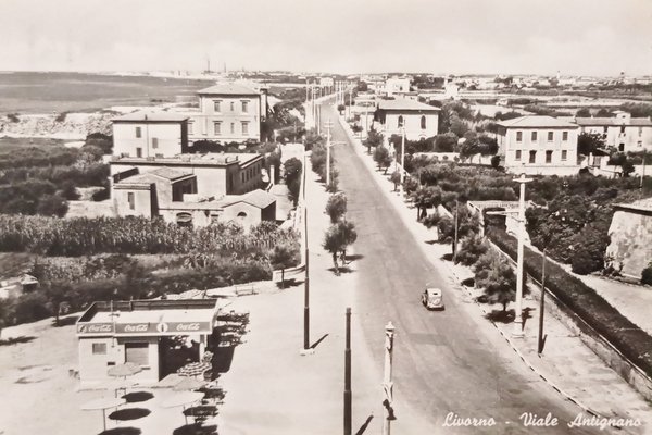 Cartolina - Livorno - Viale Antignano - 1950