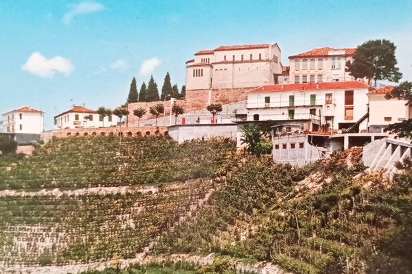 Cartolina - Camo ( Cuneo ) - Panorama - 1994