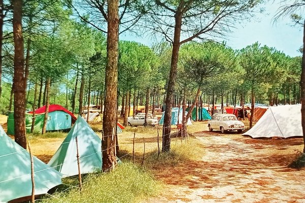 Cartolina - Marina di Ravenna - Veduta Camping Piomboni - …