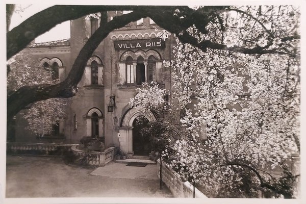 Cartolina - Taormina - Hotel Villa Riis - 1960 ca.