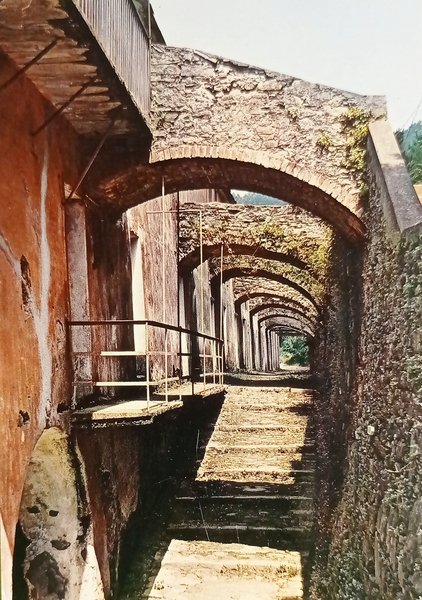 Cartolina - Santuario N. S. di Soviore - Monterosso al …