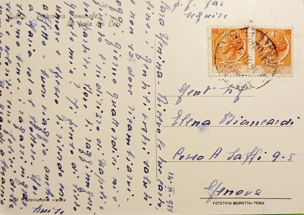 Cartolina - Gubbio - Pinacoteca Comunale - La Festa dei …