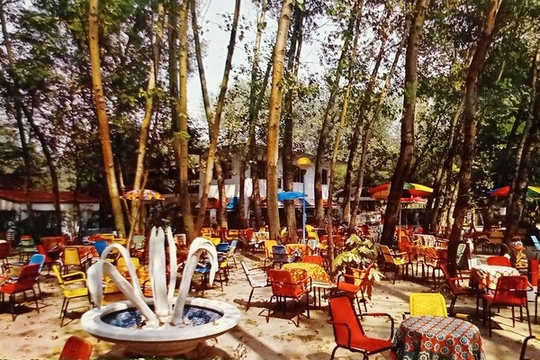 Cartolina - Lido di Predosa - Giardino - 1970