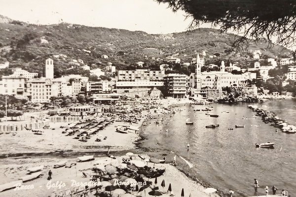 Cartolina - Recco - Golfo Paradiso - Panorama - 1965