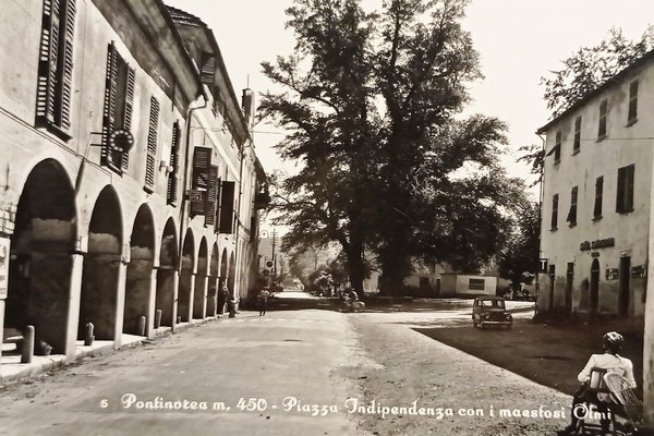Cartolina - Pontinvrea - Piazza Indipendenza con i maestosi Olmi …