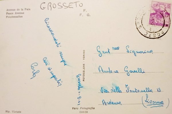 Cartolina - Grosseto - Viale della Pace - 1955 ca.