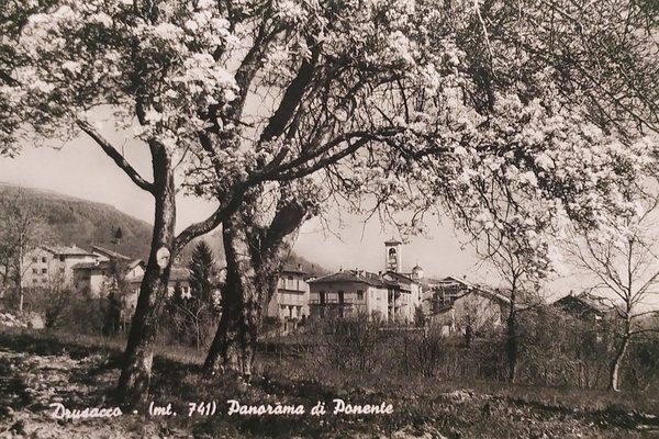 Cartolina - Drusacco - Panorama di Ponente - 1958