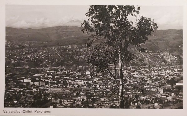 Cartolina - Valparaiso ( Chile ) - Panorama - 1950 …