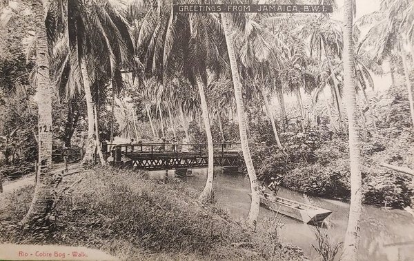 Cartolina - Rio - Cobre Bog - Walk - 1930 …