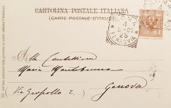 Cartolina - Roma - Panorama della Città visto dalla Cupola …