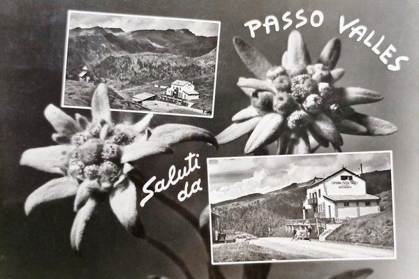 Cartolina - Saluti da Passo Valles - Vedute diverse - … | Immagine principale
