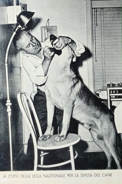 Cartolina - A cura della Lega Nazionale per la Difesa … | Immagine principale