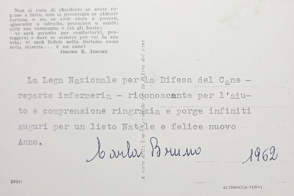 Cartolina - A cura della Lega Nazionale per la Difesa … | Immagine Gallery 2