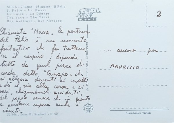 Cartolina - Siena - 2 Luglio - 16 Agosto - …