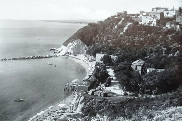 Cartolina - Numana ( Ancona ) - Riviera - 1956