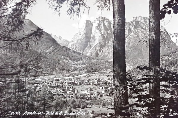 Cartolina - Agordo - Pale di S. Lucano - 1960