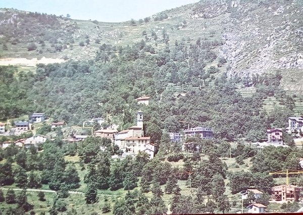 Cartolina - Viola ( Cuneo ) - Oasi di Quiete …