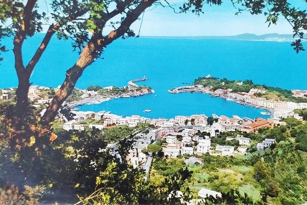 Cartolina - Ischia - L'Isola Verde - Il Porto - …