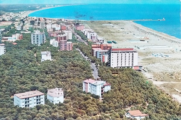 Cartolina - Lido degli Estensi ( Ferrara ) - 1964