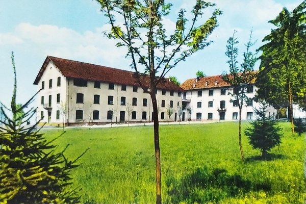 Cartolina - Lago d'Orta - Ameno - Colonia Vigevanese - …