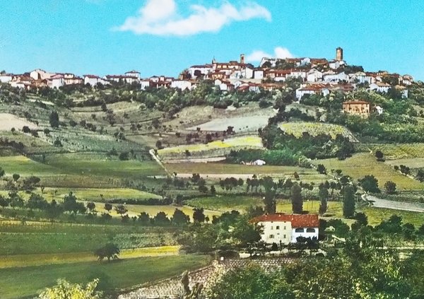 Cartolina - Conzano (Alessandria) - Panorama - 1970