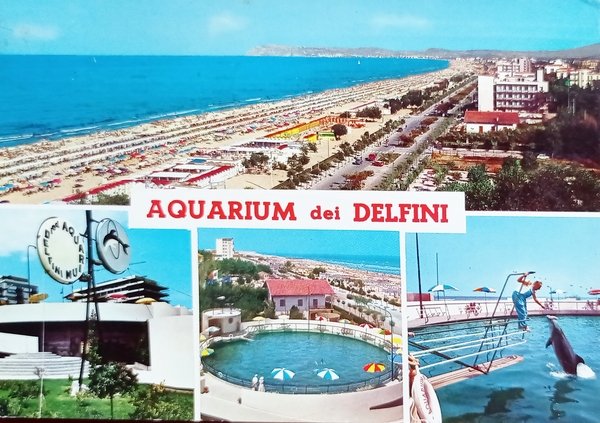 Cartolina - Aquarium dei Delfini - Riccione - Lungomare - …