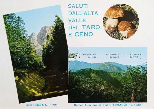 Cartolina - Saluti dall'Alta Valle del Taro e Ceno - …