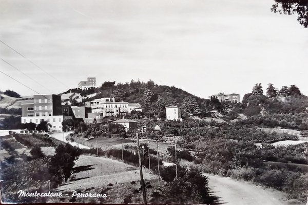 Cartolina - Montecatone - Panorama - 1954